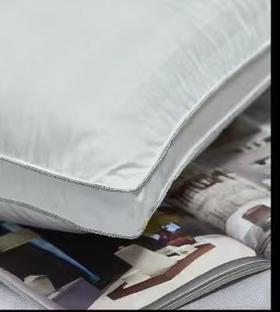 【6F】富安娜维莎3M新雪丽酒店枕，74*48，白，980/只，399/只