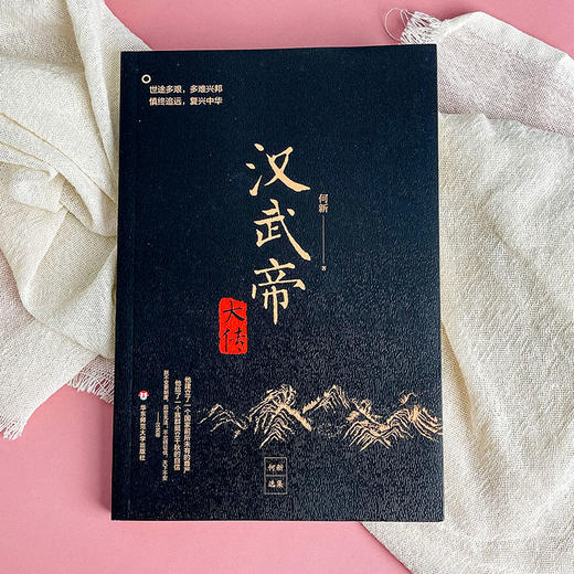 汉武帝大传 何新选集 塑造非文学化雄才大略的帝王形象  附《汉武帝年谱》 商品图1