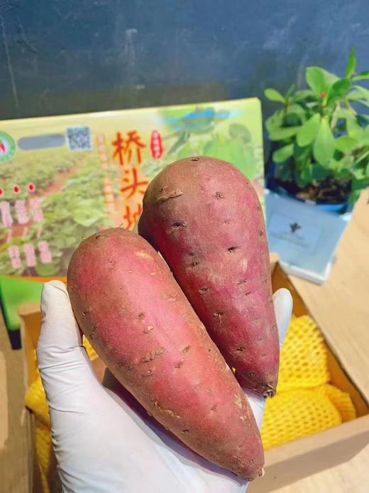 桥头地瓜一箱 商品图2