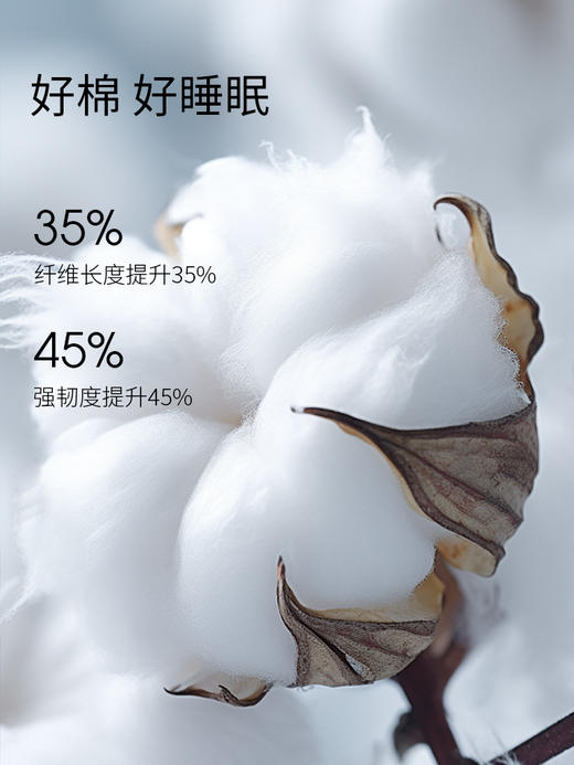 佳丽斯四件套全棉纯棉床单被套床上用品2023新款 商品图1