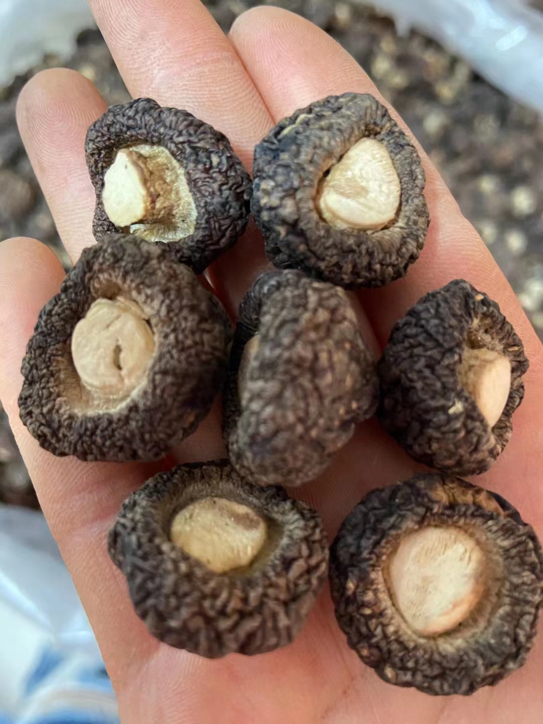 双洋香菇原价¥89会员价¥78