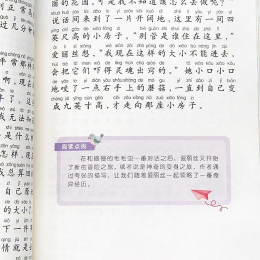 世界经典课外大阅读系列 彩图注音版 爱丽丝漫游奇境记 商品图3