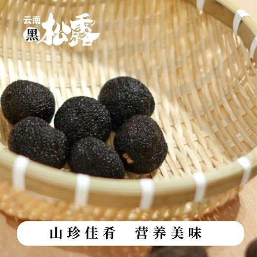 【AN】云南直发 新鲜黑松露 商品图2