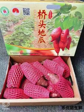 桥头地瓜一箱