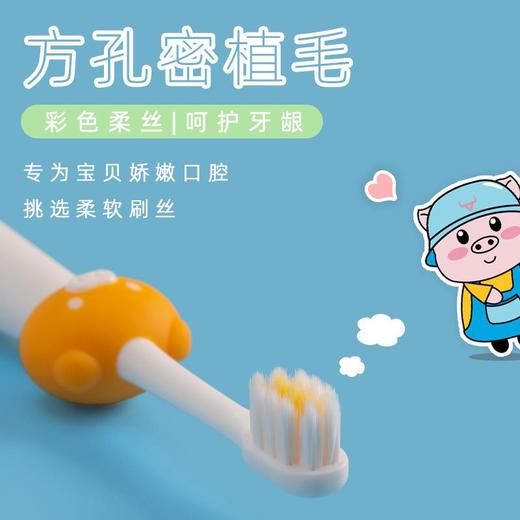 小牛历险记 卡通小猪3-12岁儿童牙刷软毛厂家现货桶装6支装 商品图1