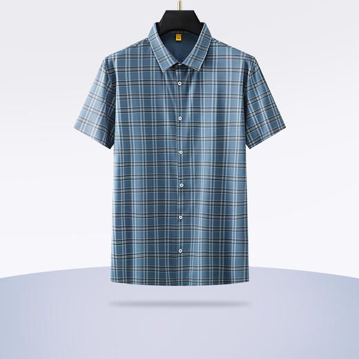 【新款DG】大依优型大码格子短袖衬衫加肥加大男装大号大码衬衣上衣男士绅士商务休闲半袖夏季 商品图0