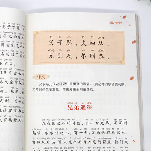世界经典课外大阅读系列 三字经 : 国学版 商品图3