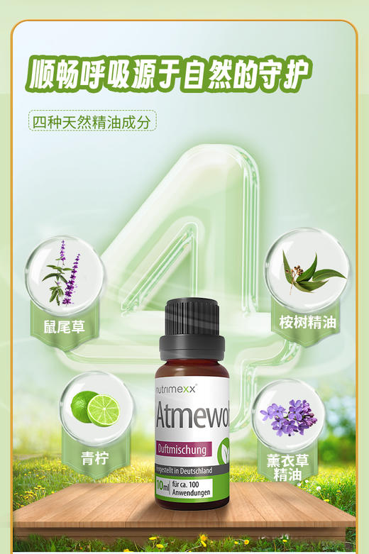 德国Nutrimexx幽萃美Babiplus舒可通呼吸通鼻精油10ML 商品图4