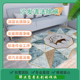 【常州家政】 沙发清洗保养（座）软装清洗 预约时间烦请填写24小时后 工作人员与您联系czoy