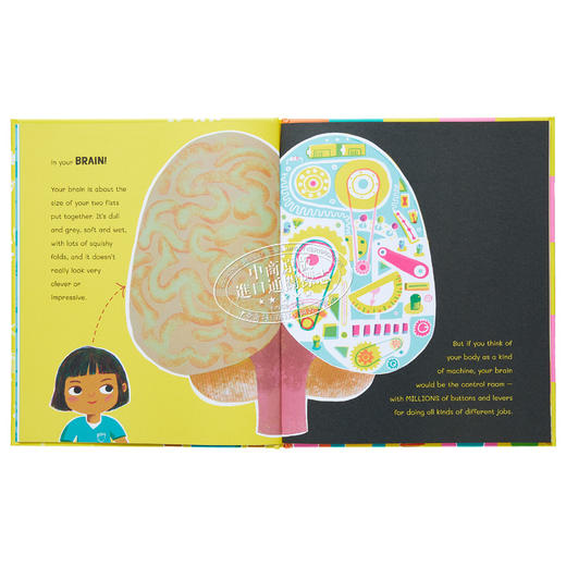 【中商原版】鲁帕博士 聪明的大脑 Dr Roopas Body Books The Brilliant Brain 英文原版 儿童科普绘本 知识百科 精装进口童书 商品图5