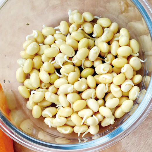 农场有机自留地小芽豆黄豆五谷杂粮精选小粒打豆浆专用 商品图4