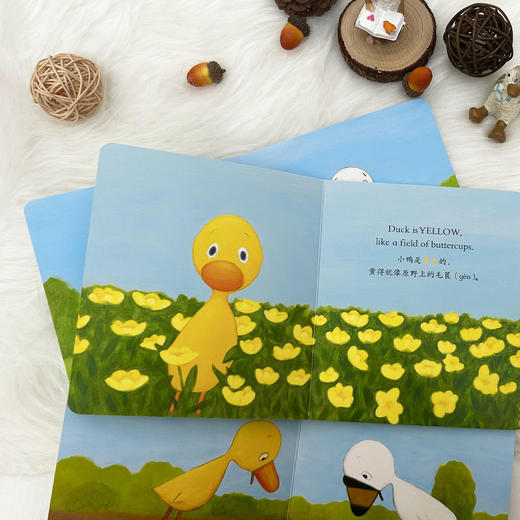 《小黄鸭小白鹅·双语纸板书系列》（全10册） 商品图11