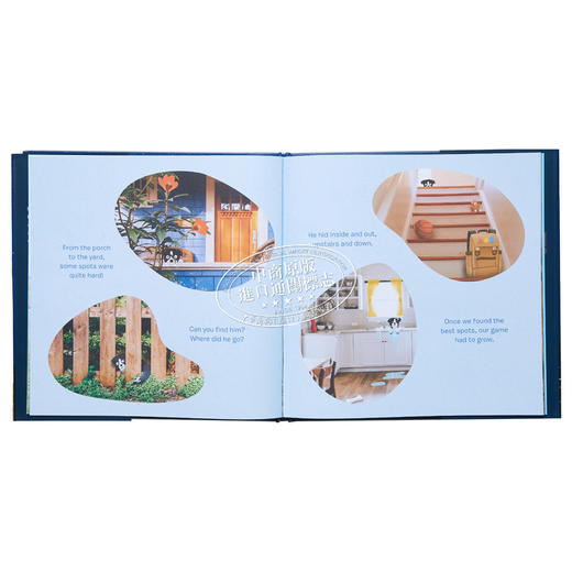 【中商原版】Andrew Knapp Find Momo Everywhere 寻找莫莫4 遍寻Momo 精装 英文原版 进口图书 Momo儿童绘本 故事图画书 商品图4