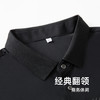 【冰丝高弹】【新款DKP】大依优型大码短袖POLO衫冰丝高弹加肥加大男装大号大码上衣男士绅士商务休闲半袖夏季 商品缩略图2