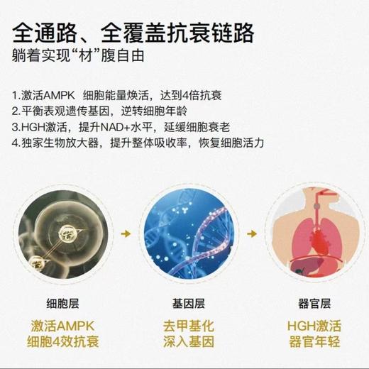 【保税仓】【全身管理提高代谢】Biowell辅酶1号姜黄素烟酰胺槲皮素60粒/瓶【新加坡进口】 商品图4
