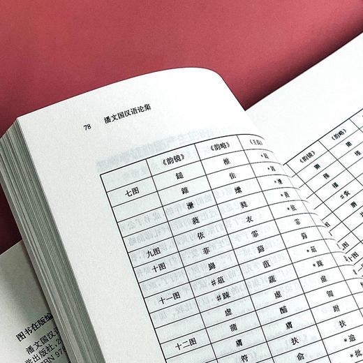 潘文国汉语论集 汉语研究 比较文学 商品图10