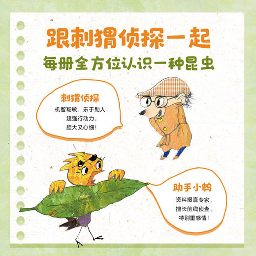 刺猬侦探有办法 商品图5