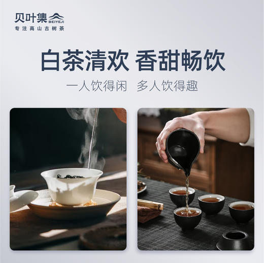 贝叶集景谷大白芽120g 商品图4