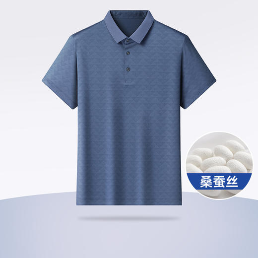【桑蚕丝】【DWP】大依优型大码高品质短袖Polo衫翻领加肥加大男士大号弹力透气舒适 商品图0