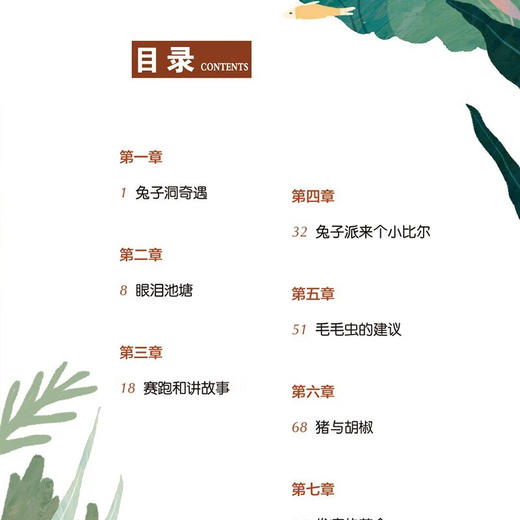 世界经典课外大阅读系列 彩图注音版 爱丽丝漫游奇境记 商品图5