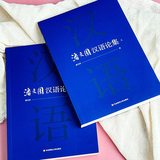 潘文国汉语论集 汉语研究 比较文学 商品图4