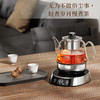 金灶（KAMJOVE）A-96自动喷淋式煮茶器蒸茶器办公室小型煮茶壶蒸汽自动电茶炉花茶壶 商品缩略图9