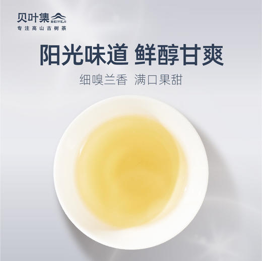 贝叶集景谷大白芽120g 商品图1