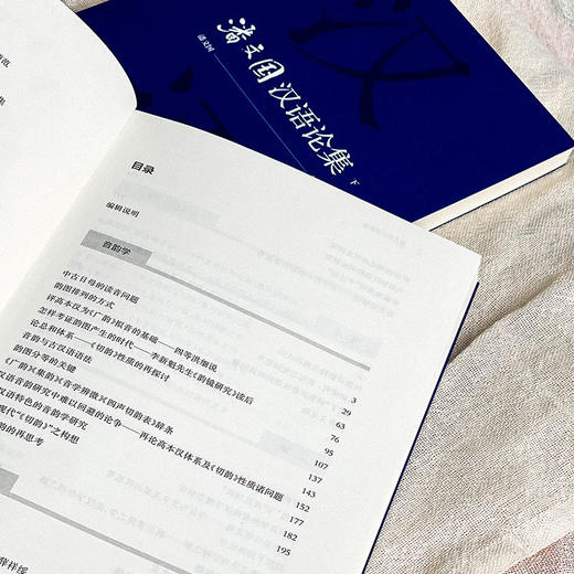 潘文国汉语论集 汉语研究 比较文学 商品图8