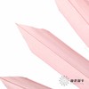 永生花材 | 棕榈叶粉色 商品缩略图4