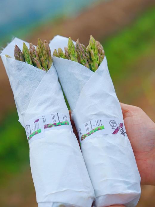 时令尝鲜 | 江苏徐州头茬青笋  顺丰发货 商品图0