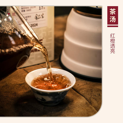 【山纯限品】（2024年）005马头岩桃树窠·老树肉桂17g 商品图3