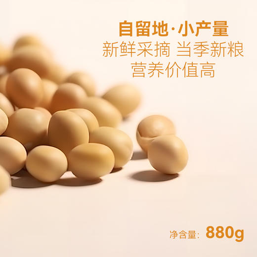 农场有机自留地小芽豆黄豆五谷杂粮精选小粒打豆浆专用 商品图1