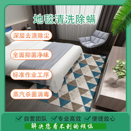 【常州家政】 家庭地毯清洗/张 软装清洗 ≤10㎡预约时间烦请填写24小时后 工作人员与您联系czoy 商品图0
