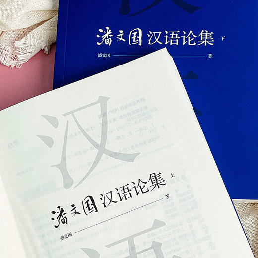潘文国汉语论集 汉语研究 比较文学 商品图5