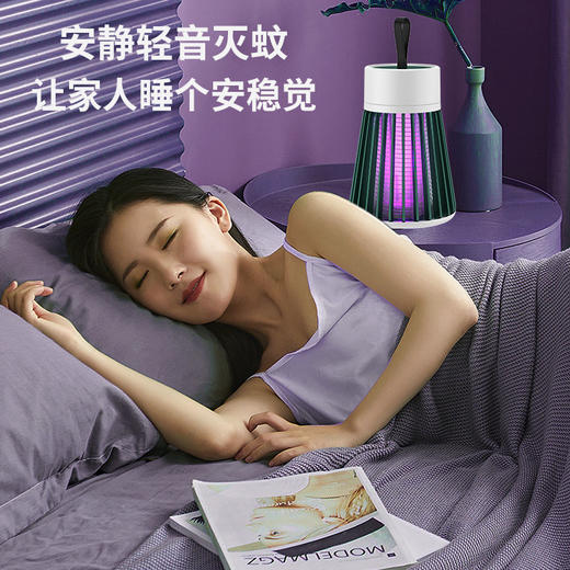 新品福利【居家必备，蚊虫无处藏身】2024新款电击式灭蚊灯助你驱散烦恼，捕蚊效果卓越，安心入睡。内外兼修，室内卧室、户外露营都可使用。还能通过USB充电，方便又环保！ 商品图0