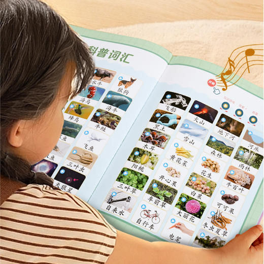 《小羊上山识字发声书》 商品图5