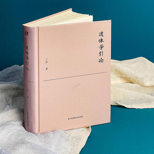 道体学引论 丁耘著 汉语学术研究 梳理中国哲学的义理脉络 商品图4