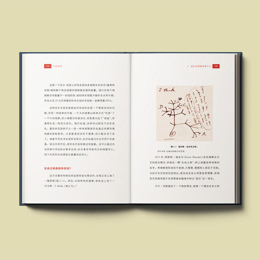 牛津科普系列：《生命起源》 商品图12