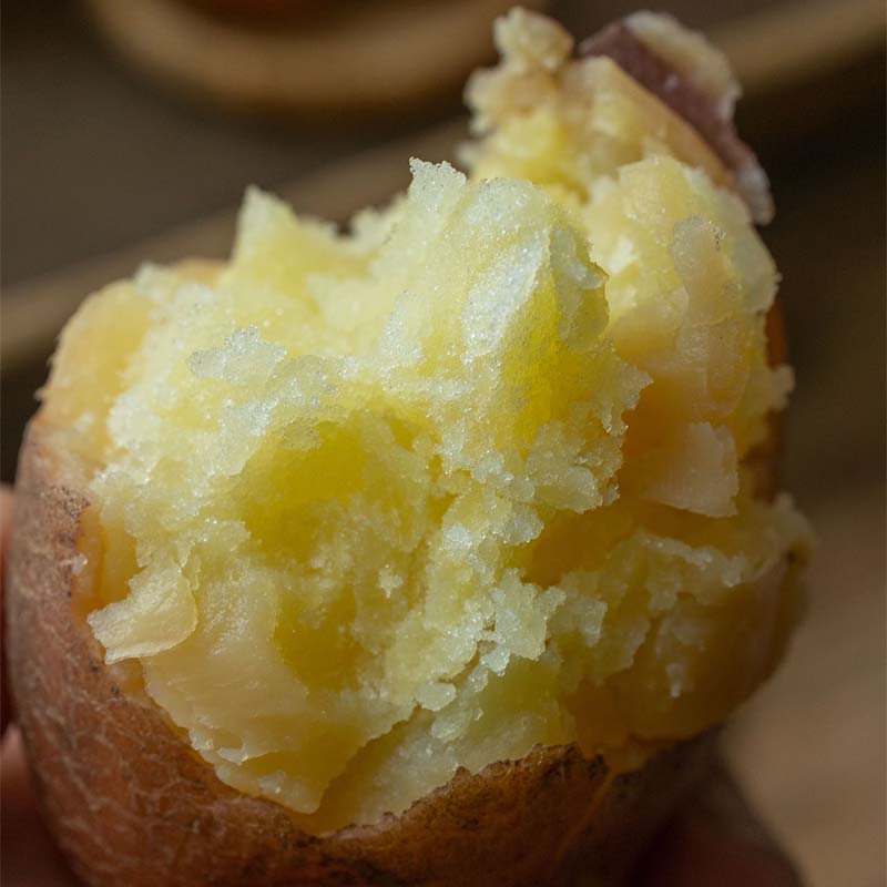 今年新土豆！【雪山脚下的红皮洋芋 】粉面软糯口感炸裂！富含花青素和硒元素 现挖现发