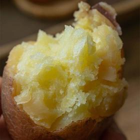 今年新土豆！【雪山脚下的红皮洋芋 】粉面软糯口感炸裂！富含花青素和硒元素 现挖现发