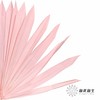 永生花材 | 棕榈叶粉色 商品缩略图3