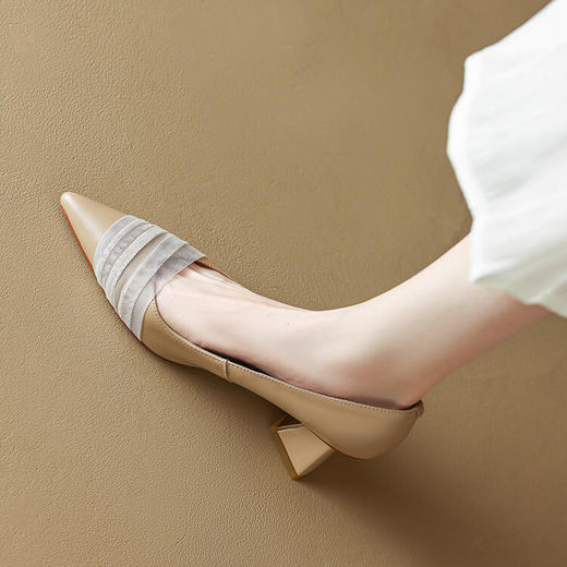 【预售5天】法式仙女风温柔优雅网纱全牛皮高跟鞋尖头浅口粗跟中跟单鞋DJ&GB3026 商品图1