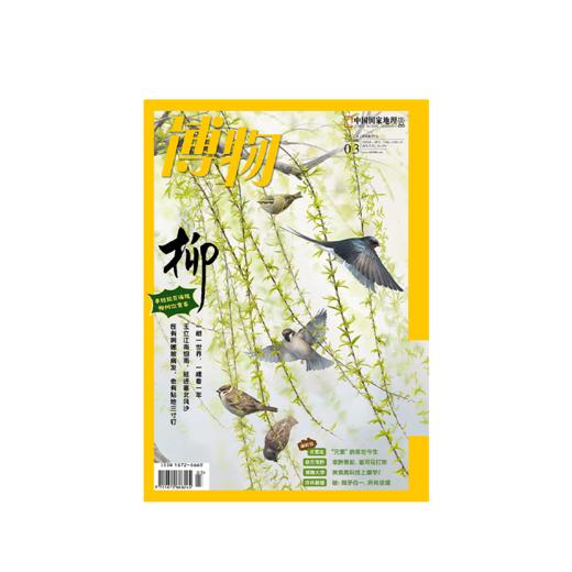 博物杂志 2024年3月刊 柳树主题  精美大拉页 博物大学 青少年科普杂志 商品图1