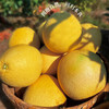 有机福心柚 商品缩略图6