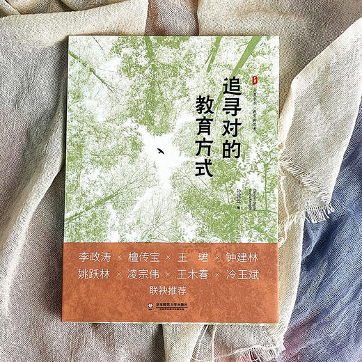 追寻对的教育方式 大夏书系 教育新思考 用对的方式做教育 30年来厚积薄发之作 案例详实 短小精悍 商品图1