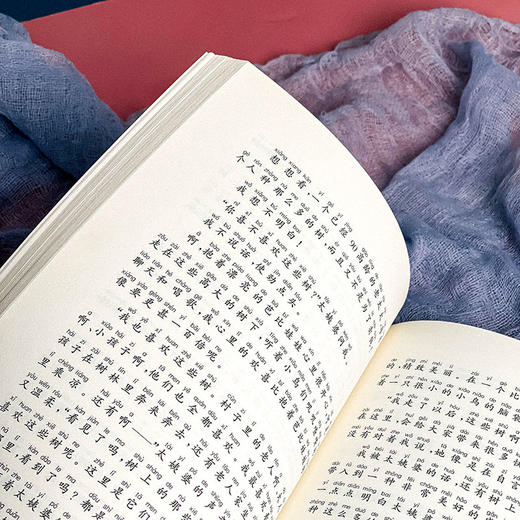 与玩偶一起去流浪 冰心奖获奖作家精品书系 美绘注音版 64位冰心奖获奖作家短篇佳作结集 亲子读物分级阅读 正版 华东师范大学出版社 商品图11