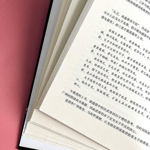 汉武帝大传 何新选集 塑造非文学化雄才大略的帝王形象  附《汉武帝年谱》 商品图11