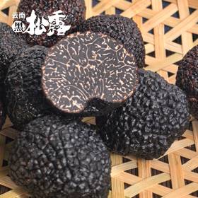 【AN】云南直发 新鲜黑松露
