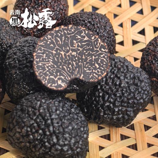 【AN】云南直发 新鲜黑松露 商品图0