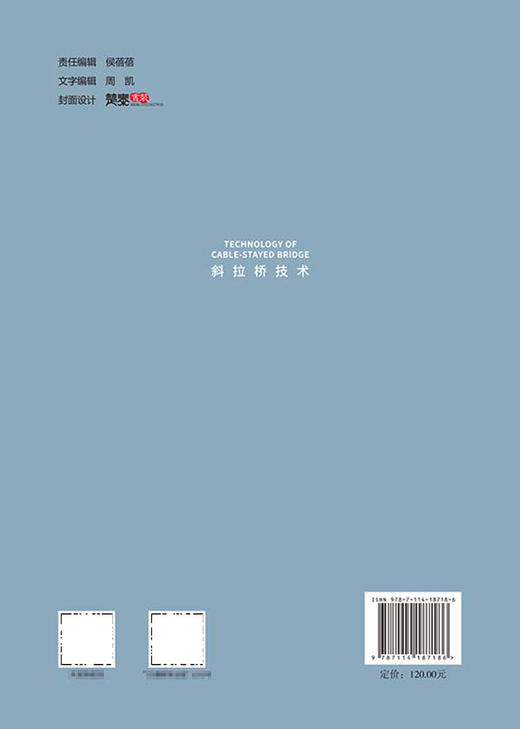 斜拉桥技术 商品图1
